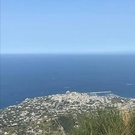 Napoleone